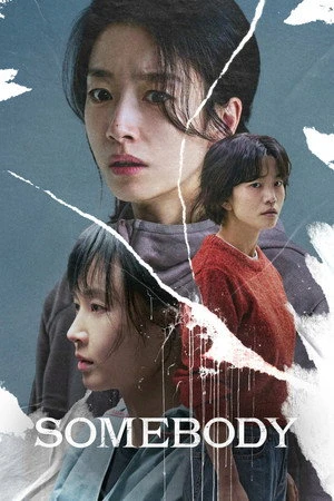 Somebody 2025 Hindi - Korean Dual Audio WEB-DL 720p - 480p - 1080p